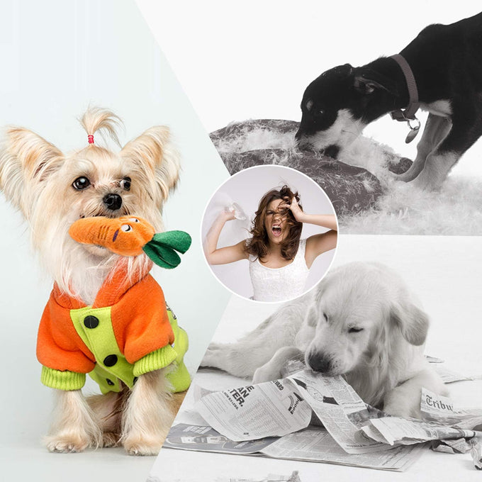 nocciola dog squeaky toys, small plush toys with squeakers, 12 pack for small medium size dogs