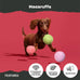 Barkbox Macaruffs plush dog toy bundle for small dogs with all-natural rubber and squeaker fun