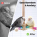 9" Wooden Bird Perch Toy for Cage, 360° Silent Free-Spin, Natural Material, Reduces Boredom Anxiety, for Small to Medium Birds, with Poplar Swing