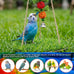 Bird Swing with Wooden Perch Stand for Parakeets, Cockatiels, Conures, Adjustable Rope and Rattan Chew Balls Cage Accessory