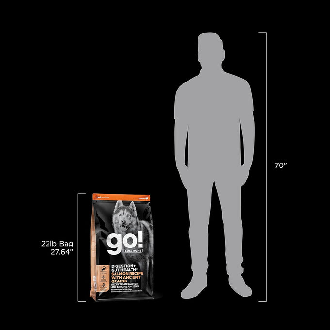 Go! Solutions Digestion + Gut Health Salmon Dry Dog Food, Premium Chicken-Free Kibble for Gastrointestinal & Digestive Wellness, Supports Sensitive Stomachs, for Puppies, Adults & Seniors, 22 lb Bag