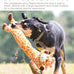 outward hound giraffe longidues squeaky plush dog tug toy 29 inch ultra-long durable k9 tuff guard