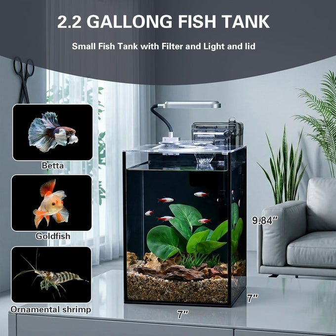 2.2 gallon black glass aquarium set for desktop, small kit for beginners and children with betta fish, goldfish, and aquatic plants