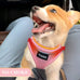 Yimeis No Pull Soft Mesh Pet Harness and Leash Set for Small Medium Large Dogs and Cats, Pink, X-Small
