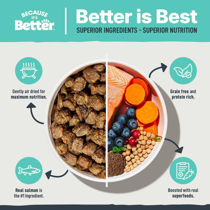 Because It’s Better Slow Baked & Air Dried Dog Food - Real Salmon & Veggies - Complete & Balanced Dry Dog Food - Grain Free, High Protein, Natural Nutrition for All Life Stages, 1 lb Bag