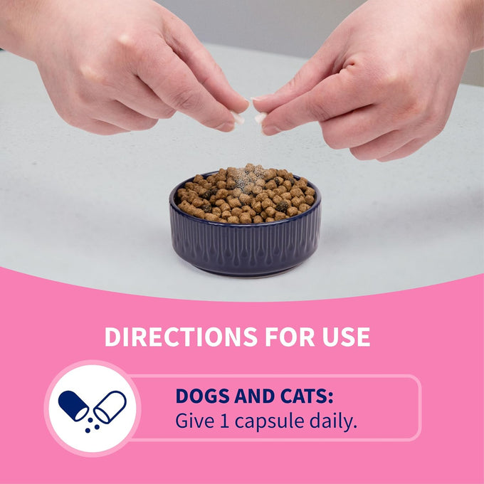 nutramax proviable probiotics for dogs and cats, 5 billion cfus, 80 capsules