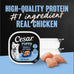 Cesar Puppy Classic Loaf Wet Dog Food, Chicken & Beef, 3.5oz