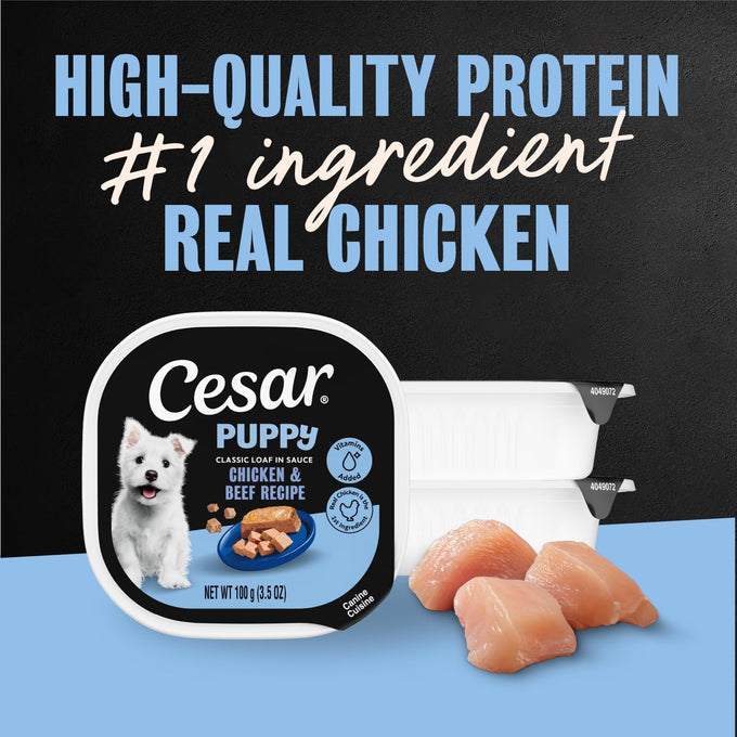 Cesar Puppy Classic Loaf Wet Dog Food, Chicken & Beef, 3.5oz