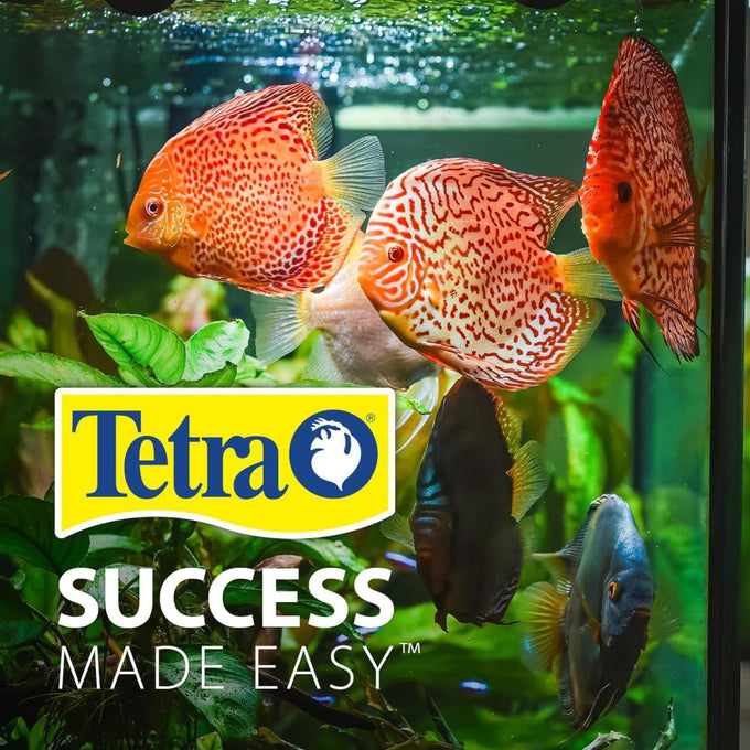 Tetra 3-gallon cube-shaped aquarium kit with pedestal base, LED light, and filter for small tropical fish