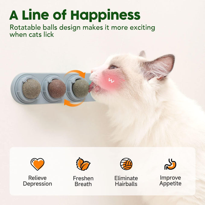 Potaroma 4 Catnip Silvervine Ball Toys: Natural, Non-Toxic, Edible, Teeth Cleaning, Dental Wall Treats for All Breeds, Extra Cat Energy Ball