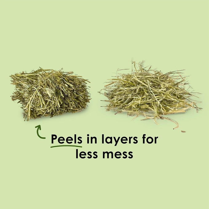 Kaytee wafer cut timothy hay for pet guinea pigs, rabbits, and other small animals, 60 ounce all natural