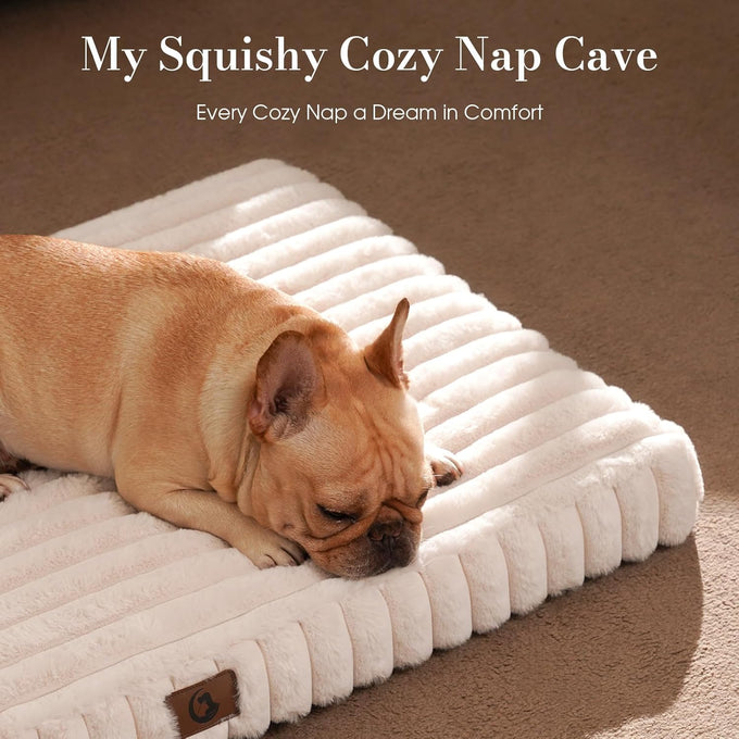 large dog beds with orthopedic support, waterproof lining, and plush surface