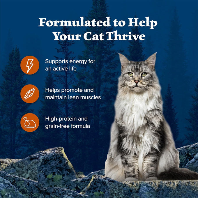 blue buffalo wilderness wild delights meaty morsels wet cat food, 24 count, 3-oz. cans, chicken & turkey recipe