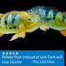 API CICHLID LARGE PELLETS 7.1-Ounce Floating Fish Food for Large Cichlids, Natural Ingredients, 5 Inch Plus
