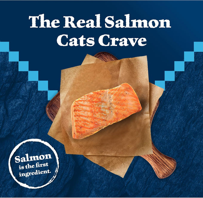 Blue Buffalo Wilderness Salmon Grain Free Dry Adult Cat Food High Protein 11-lb Bag