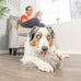 hyper-pet-doggie-tail-interactive-plush-automatic-dog-toy-for-all-dog-breeds