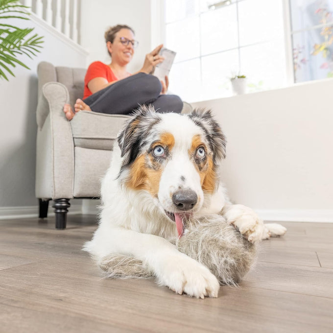 hyper-pet-doggie-tail-interactive-plush-automatic-dog-toy-for-all-dog-breeds