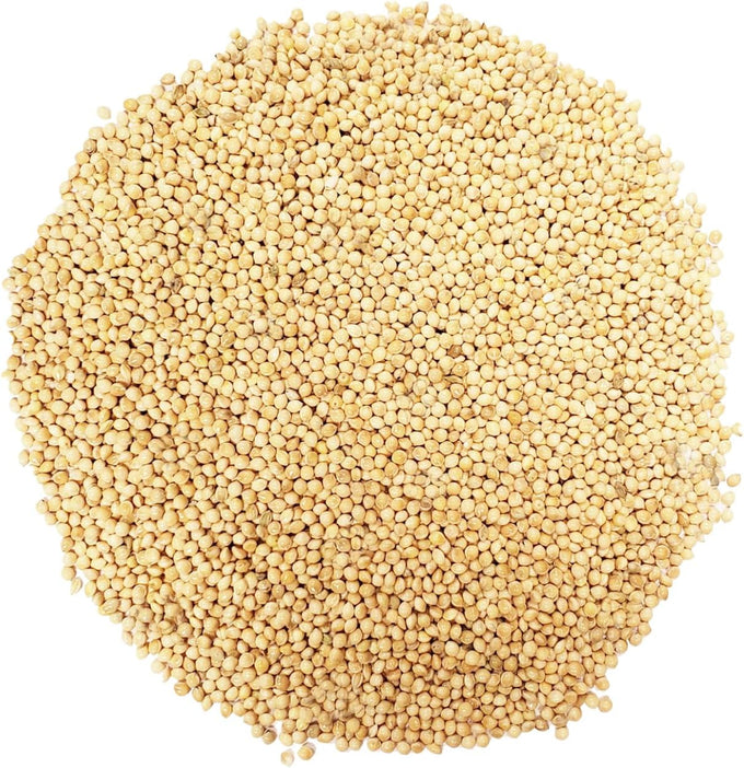 CountryMax White Millet Bird Seed - 8 lb USA Grown Premium Finch Food for Wild Birds