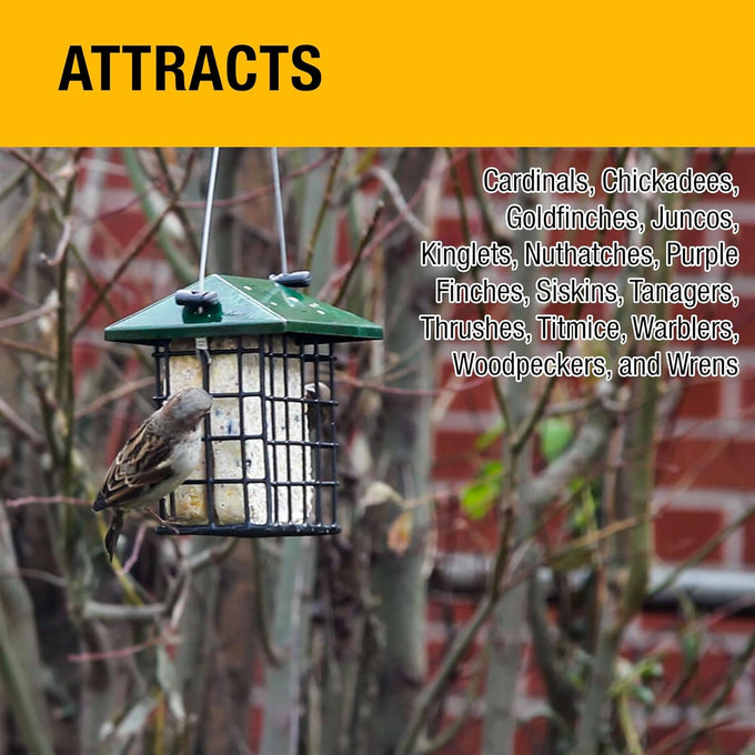 Heath Outdoor Products berry blast suet cakes 3 pack for woodpeckers cardinals and many more wild bird species