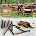 Natural Wood 8-Piece Bird Perch Set with Fork Toys and Hammock Swing for Parakeets and Budgies