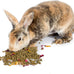 pampered-chicken-mama-premium-herbal-rabbit-feed-12-pounds-calendula-flowers-and-herbs