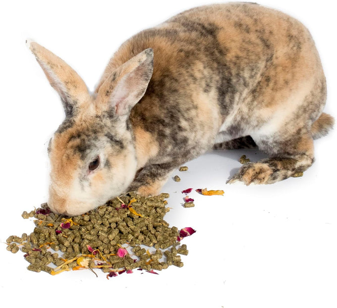 pampered-chicken-mama-premium-herbal-rabbit-feed-12-pounds-calendula-flowers-and-herbs