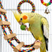 22-piece parakeet bird toy set with colorful bell and rattan balls, safe, non-toxic materials for small birds