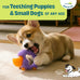 Cutie Chewies Hedgehog Dental Dog Chew Toy for Teething Puppies & Small Dogs Multi-Textured & Durable