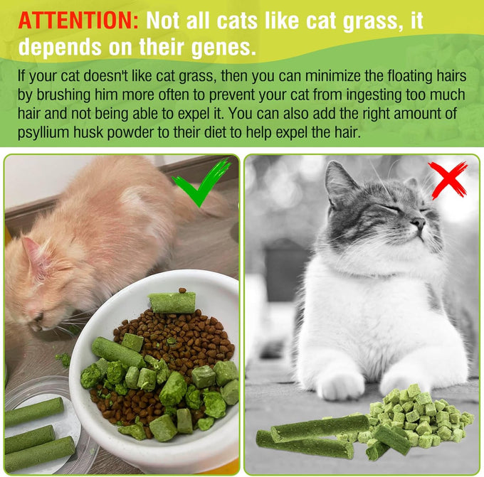 30g cat grass sticks for cats, delicious edible chew toy treats for teeth cleaning and hairball removal