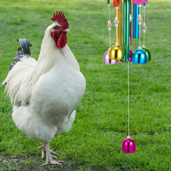 winnerwhy chicken coop multicolor chicken wind chime enrichment toy for parrot parakeet budgerigar lovebird birds