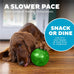 Outward Hound Orbee-Tuff Mazee Interactive Dog Puzzle Toy in Green, 4.7-Inch, Treat Dispensing Slow Feeder Ball