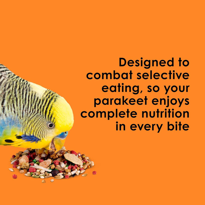Kaytee Fiesta Parakeet Food, 2 pounds, Nutritious and Fun Blend for Skin, Feather, Digestion, Brain, and Heart Health