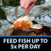 CrystalClear Staple Pond Fish Food 2.2 pound bag, 32% protein floating pellets for koi & goldfish