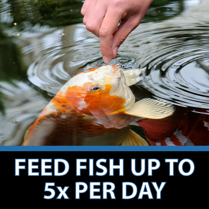 CrystalClear Staple Pond Fish Food 2.2 pound bag, 32% protein floating pellets for koi & goldfish