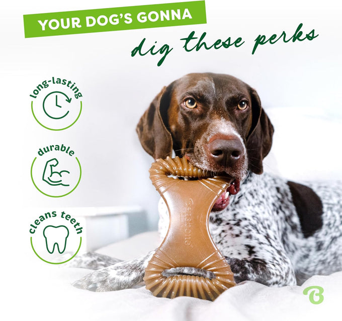 benebone dental durable dog chew toy medium real bacon made in usa