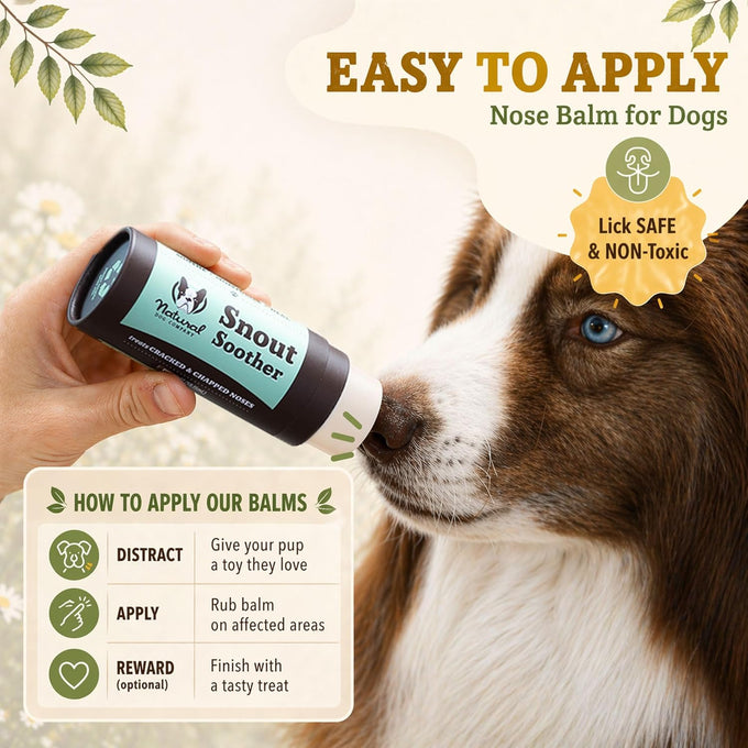 Natural Dog Company Snout Soother Dog Nose Balm for dry, crusty noses with coconut oil & shea butter, lick safe for all breeds - 1 oz tin