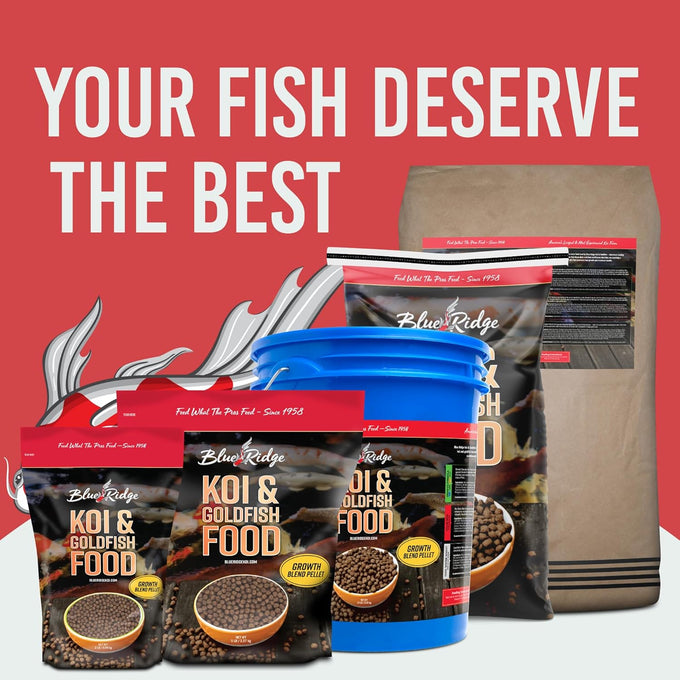 Blue Ridge 2lb Koi Food for Ponds - Large and Mini Blend Growth Formula, Premium Fish Food for Koi and Goldfish
