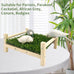 FlidRunest Parrot Hammock Bed, Bird Grass Perch Bed, Foraging Toy for Parakeet, Cockatiel, Lovebird, Conure