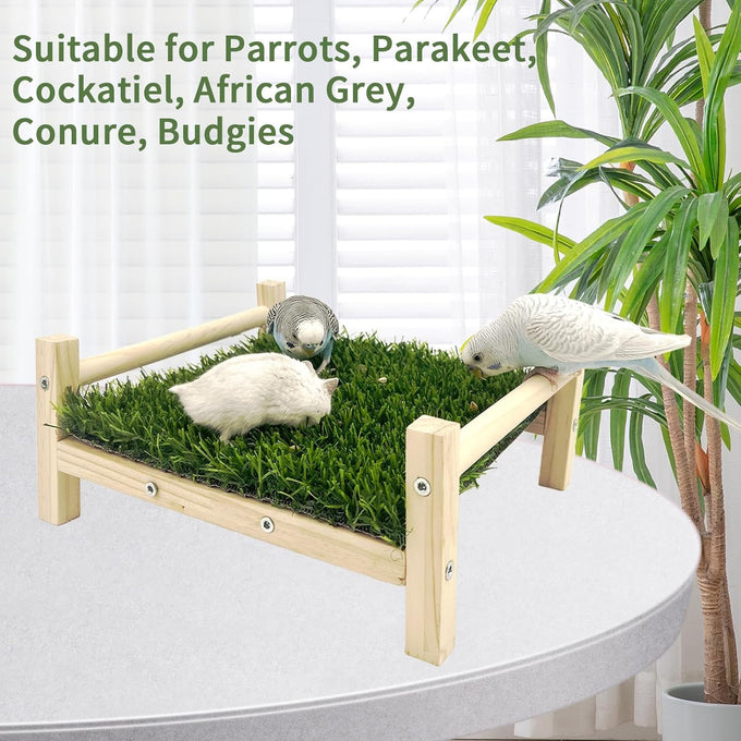 FlidRunest Parrot Hammock Bed, Bird Grass Perch Bed, Foraging Toy for Parakeet, Cockatiel, Lovebird, Conure