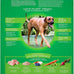 IAMS Proactive Health Large Breed Dry Dog Food, Chicken, 30 lb