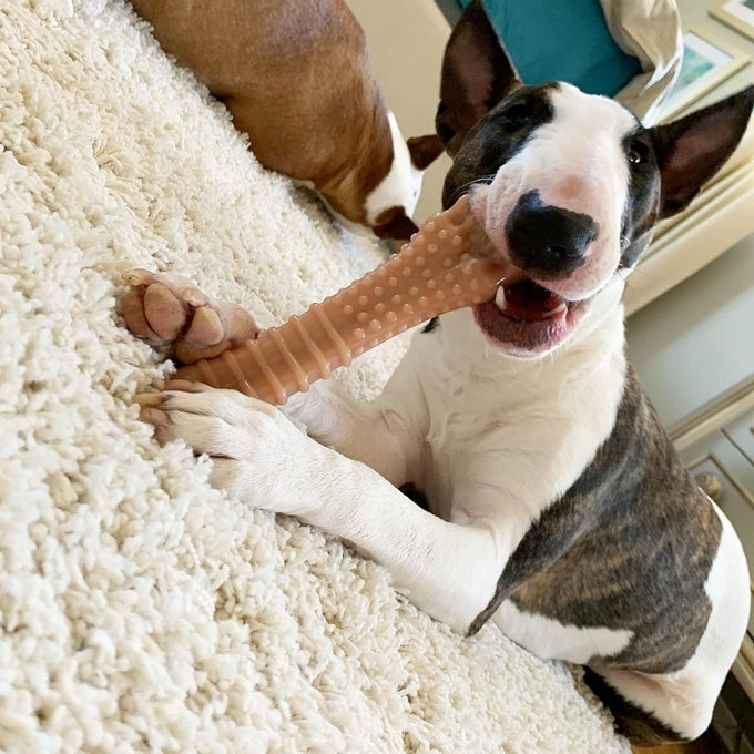 Nylabone textured knuckle bone power chew toy 2 pack x-large for dogs 50+ lbs original bacon flavor