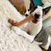 Nylabone textured knuckle bone power chew toy 2 pack x-large for dogs 50+ lbs original bacon flavor