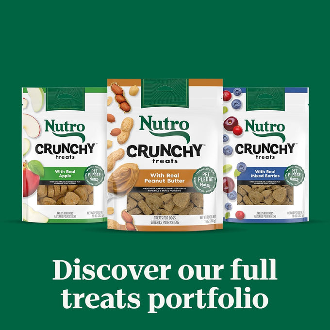 Nutro Crunchy Dog Treats with Real Apple, 5 Calories Per Treat, 16 oz Bag
