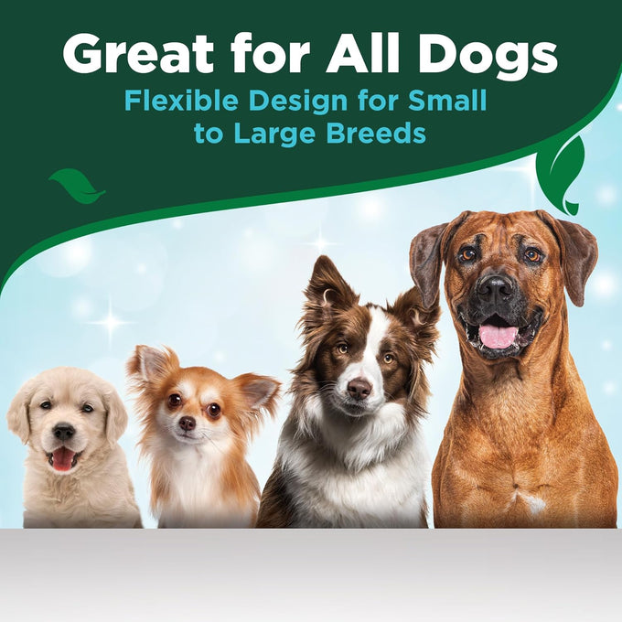 Vet's Best dog toothpaste and toothbrush kit with triple head toothbrush, natural flavors, and aloe for healthy gums and fresh breath
