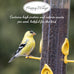 Happy Wings Nyjer/Thistle seeds 10 pounds no grow bird seed for wild finches and songbirds