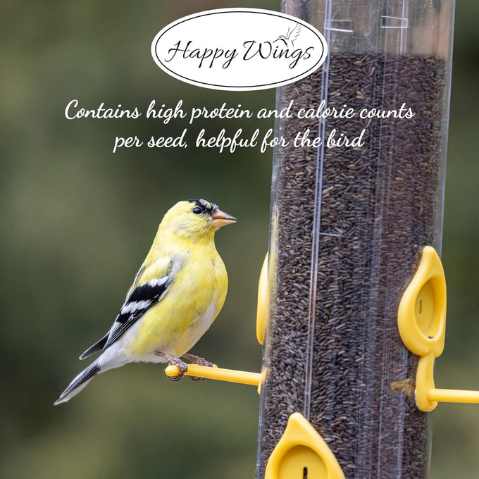 Happy Wings Nyjer/Thistle seeds 10 pounds no grow bird seed for wild finches and songbirds