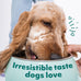Optimeal Wet Dog Food Small Breed Variety Pack - Grain Free