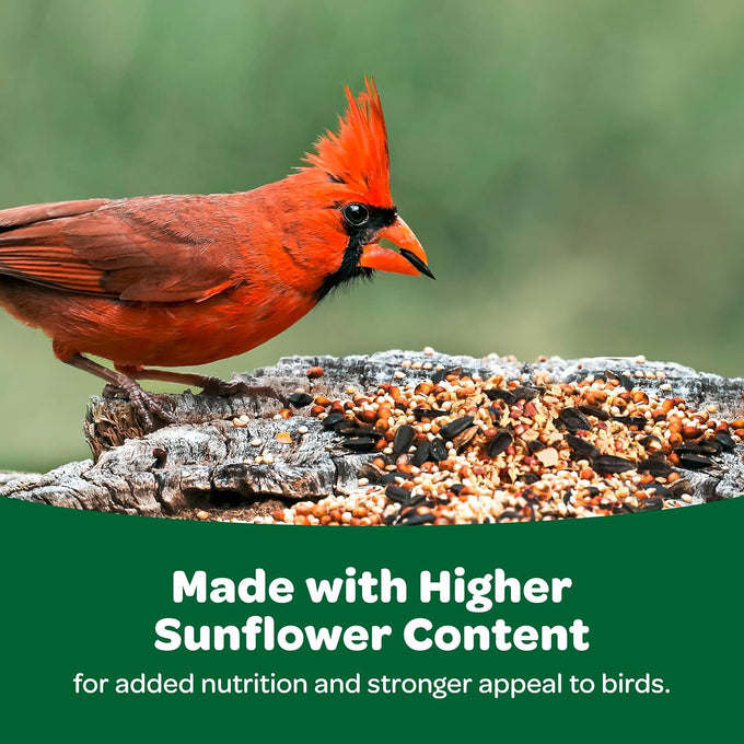 Kaytee 5 lb Wild Bird Food Basic Seed Blend, America's Everyday Favorite, Attracts Cardinals, Sparrows, and More