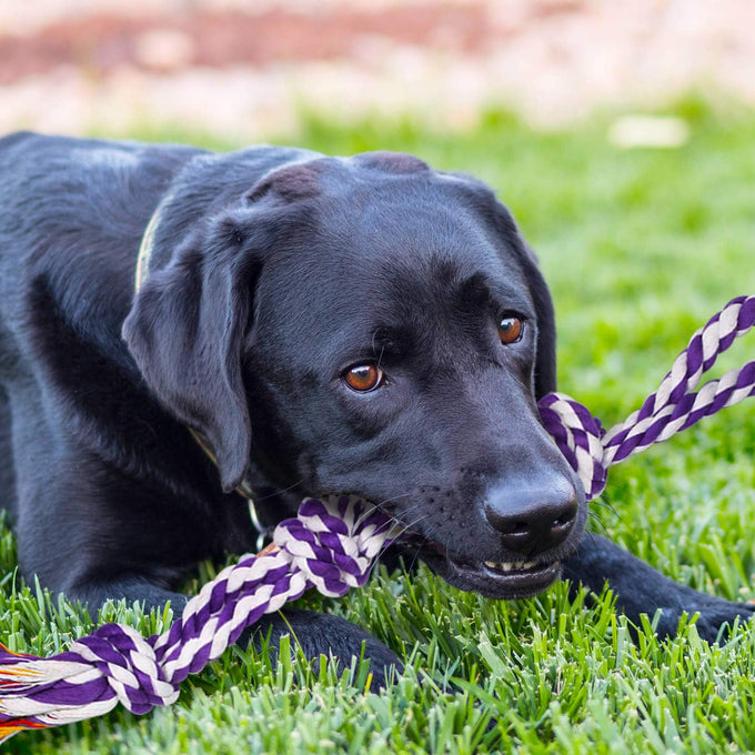 SharlovY Large Tough Chew Toys for Aggressive Chewers, 9-Kit Cotton Rope Toys Set for Medium-Large Breed Dogs