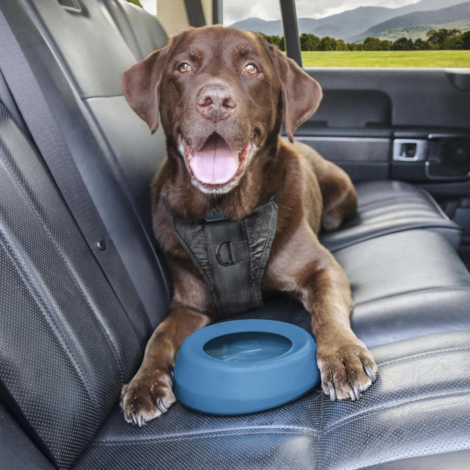 Kurgo Splash Free Wander Water Bowl 24 Ounces Coastal Blue Portable No Mess Dog Travel Bowl